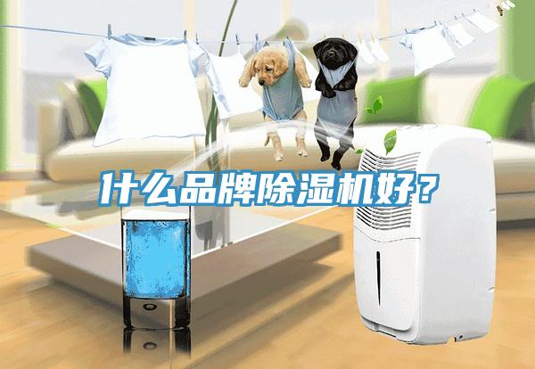 什么品牌除濕機(jī)好？