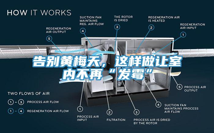 告別黃梅天，這樣做讓室內(nèi)不再“發(fā)霉”