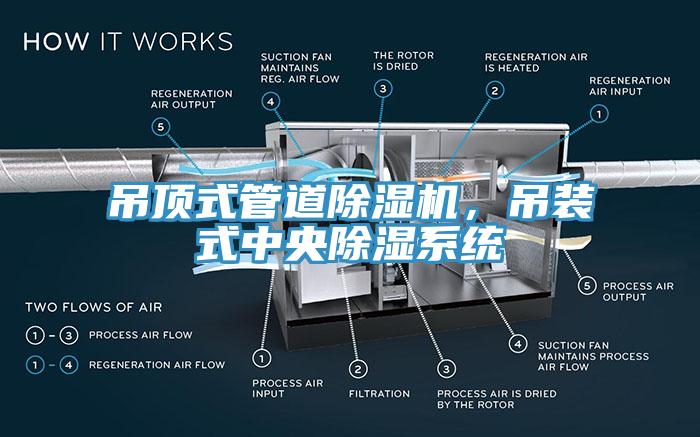 吊頂式管道除濕機(jī)，吊裝式中央除濕系統(tǒng)