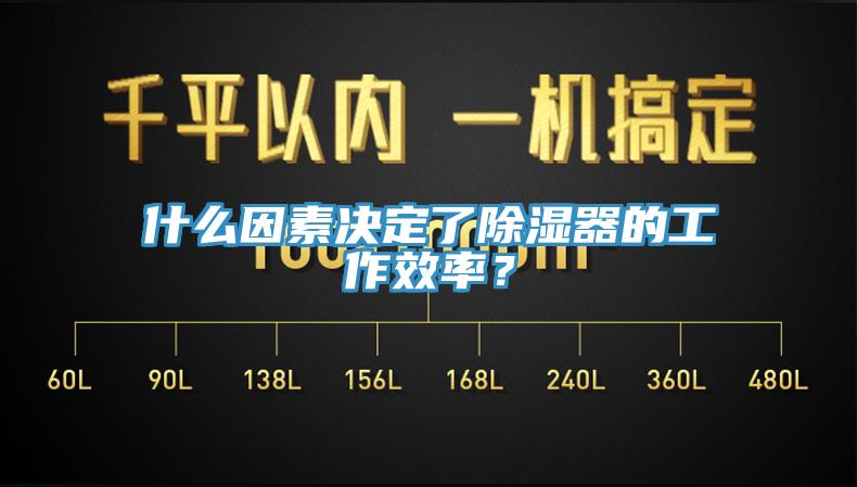 什么因素決定了除濕器的工作效率？