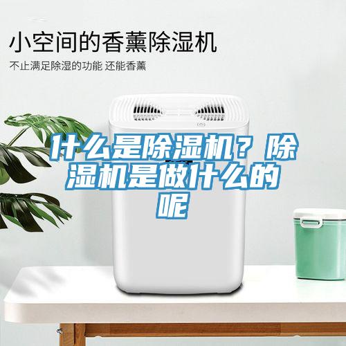 什么是除濕機(jī)？除濕機(jī)是做什么的呢