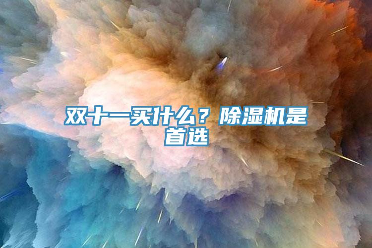 雙十一買什么？除濕機是首選