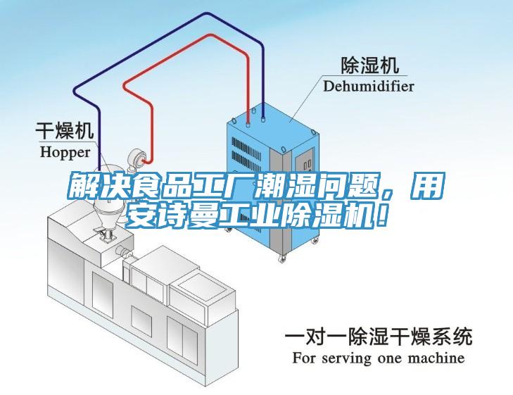 解決食品工廠潮濕問題，用安詩曼工業(yè)除濕機(jī)！