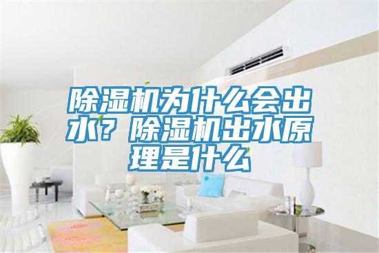 除濕機(jī)為什么會(huì)出水？除濕機(jī)出水原理是什么