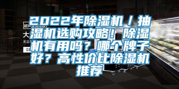 2022年除濕機(jī)／抽濕機(jī)選購(gòu)攻略！除濕機(jī)有用嗎？哪個(gè)牌子好？高性價(jià)比除濕機(jī)推薦