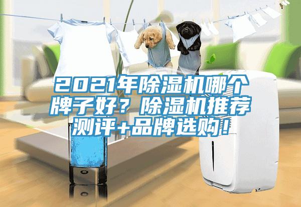 2021年除濕機(jī)哪個(gè)牌子好？除濕機(jī)推薦測(cè)評(píng)+品牌選購(gòu)！