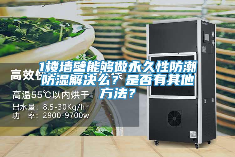 1樓墻壁能夠做永久性防潮防濕解決么？是否有其他方法？