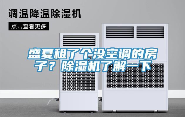 盛夏租了個(gè)沒空調(diào)的房子？除濕機(jī)了解一下