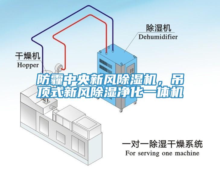 防霾中央新風(fēng)除濕機，吊頂式新風(fēng)除濕凈化一體機