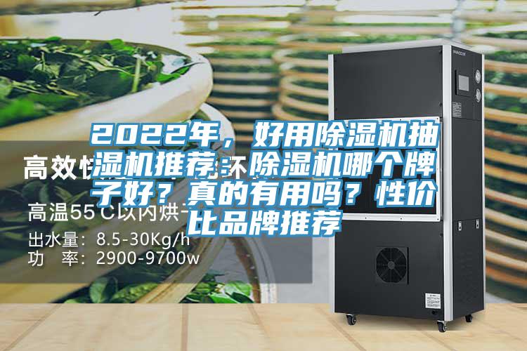 2022年，好用除濕機(jī)抽濕機(jī)推薦：除濕機(jī)哪個(gè)牌子好？真的有用嗎？性價(jià)比品牌推薦