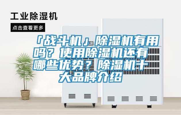 「戰(zhàn)斗機」除濕機有用嗎？使用除濕機還有哪些優(yōu)勢？除濕機十大品牌介紹