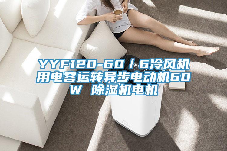 YYF120-60／6冷風(fēng)機(jī)用電容運轉(zhuǎn)異步電動機(jī)60W 除濕機(jī)電機(jī)