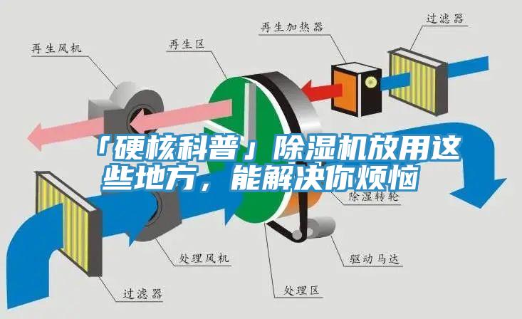 「硬核科普」除濕機放用這些地方，能解決你煩惱