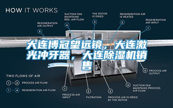 大連博冠望遠(yuǎn)鏡，大連激光沖牙器，大連除濕機銷售