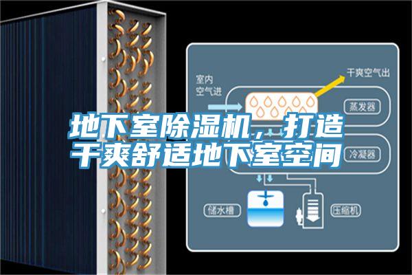 地下室除濕機，打造干爽舒適地下室空間