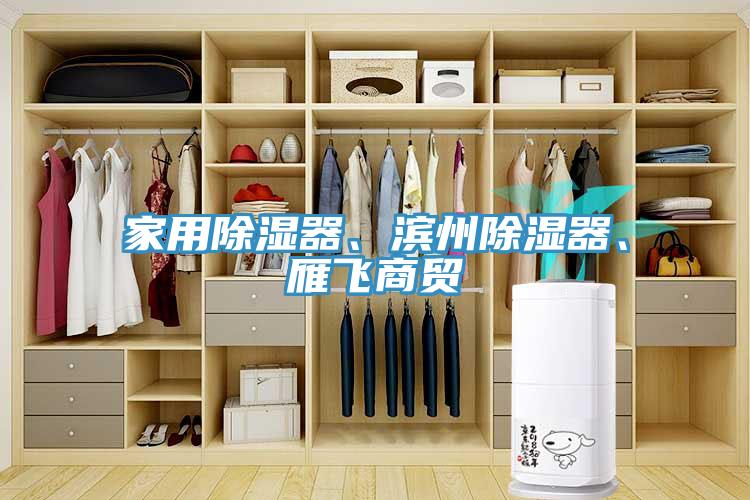 家用除濕器、濱州除濕器、雁飛商貿(mào)