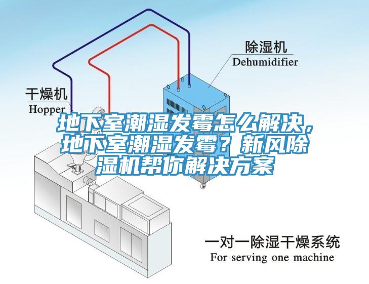 地下室潮濕發(fā)霉怎么解決，地下室潮濕發(fā)霉？新風(fēng)除濕機(jī)幫你解決方案