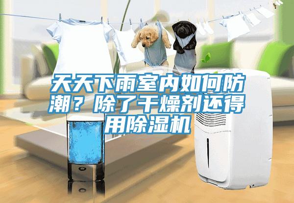 天天下雨室內(nèi)如何防潮？除了干燥劑還得用除濕機