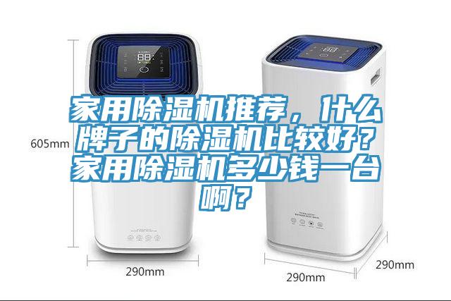 家用除濕機(jī)推薦，什么牌子的除濕機(jī)比較好？家用除濕機(jī)多少錢一臺(tái)啊？