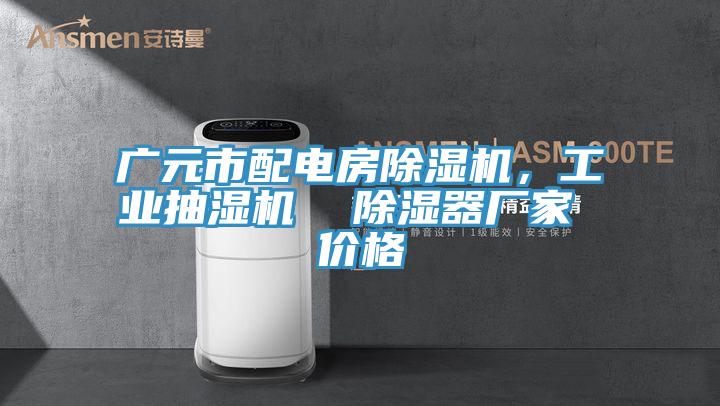 廣元市配電房除濕機，工業(yè)抽濕機  除濕器廠家 價格