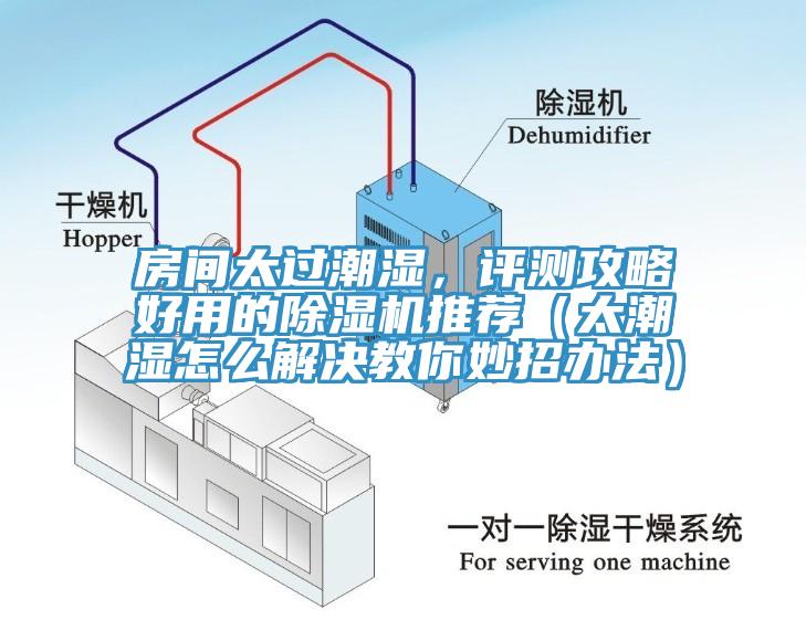 房間太過潮濕，評測攻略好用的除濕機推薦（太潮濕怎么解決教你妙招辦法）