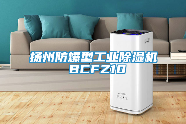 揚州防爆型工業(yè)除濕機 BCFZ10