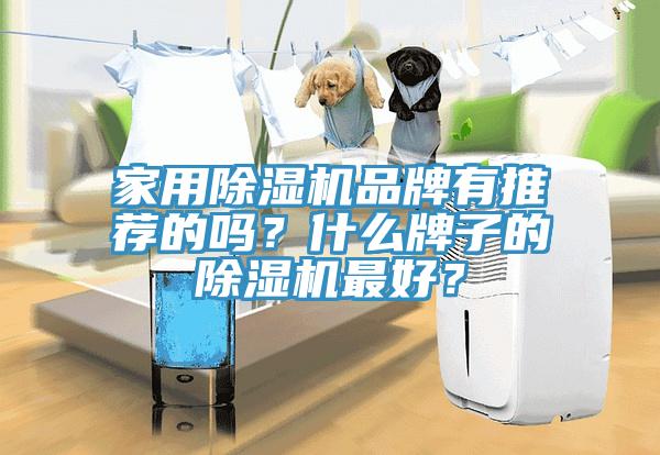 家用除濕機品牌有推薦的嗎？什么牌子的除濕機最好？