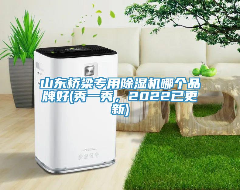 山東橋梁專用除濕機(jī)哪個(gè)品牌好(秀一秀，2022已更新)