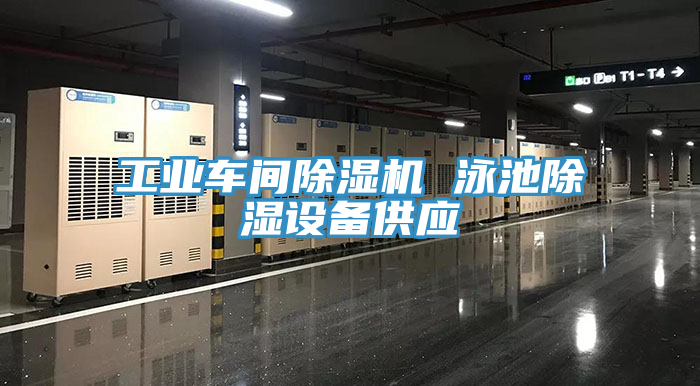 工業(yè)車間除濕機 泳池除濕設備供應