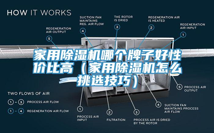 家用除濕機(jī)哪個牌子好性價(jià)比高（家用除濕機(jī)怎么挑選技巧）