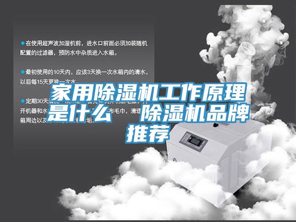 家用除濕機工作原理是什么  除濕機品牌推薦