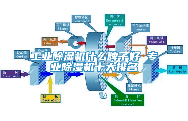 工業(yè)除濕機什么牌子好 專業(yè)除濕機十大排名