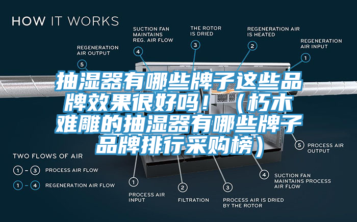 抽濕器有哪些牌子這些品牌效果很好嗎?。ㄐ嗄倦y雕的抽濕器有哪些牌子品牌排行采購(gòu)榜）