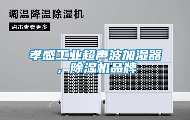 孝感工業(yè)超聲波加濕器，除濕機品牌