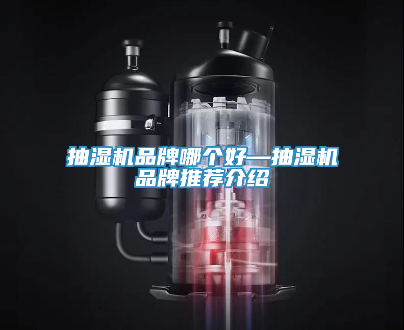 抽濕機品牌哪個好—抽濕機品牌推薦介紹