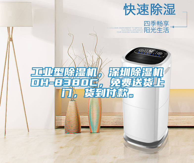 工業(yè)型除濕機(jī)，深圳除濕機(jī)DH-8380C，免費(fèi)送貨上門，貨到付款。