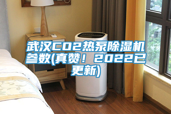 武漢CO2熱泵除濕機(jī)參數(shù)(真贊！2022已更新)