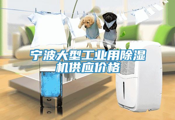 寧波大型工業(yè)用除濕機供應價格