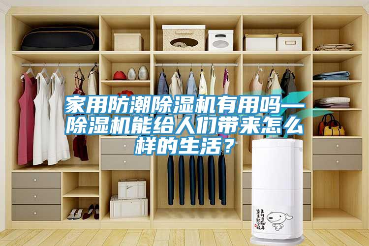 家用防潮除濕機有用嗎—除濕機能給人們帶來怎么樣的生活？