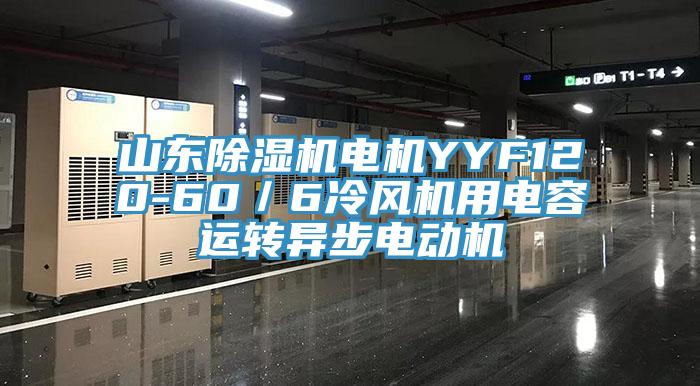 山東除濕機電機YYF120-60／6冷風(fēng)機用電容運轉(zhuǎn)異步電動機