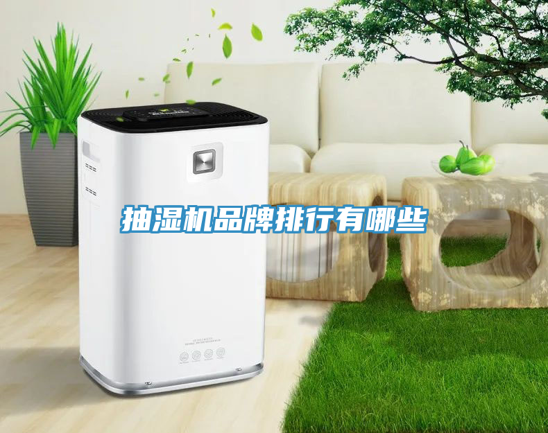 抽濕機品牌排行有哪些