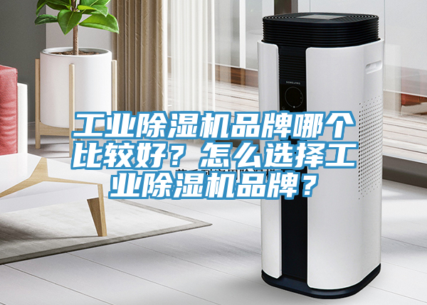 工業(yè)除濕機品牌哪個比較好？怎么選擇工業(yè)除濕機品牌？