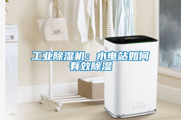 工業(yè)除濕機(jī)：水電站如何有效除濕