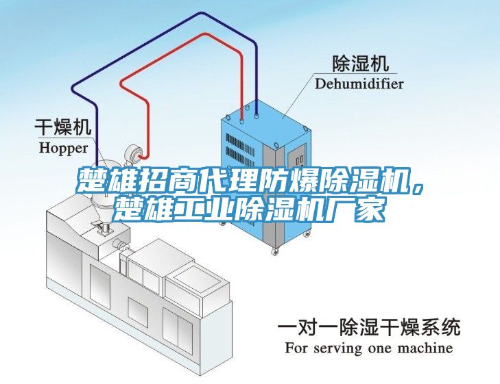 楚雄招商代理防爆除濕機，楚雄工業(yè)除濕機廠家