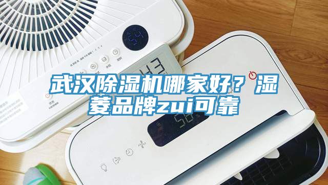 武漢除濕機(jī)哪家好？濕菱品牌zui可靠