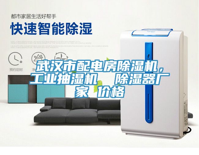 武漢市配電房除濕機(jī)，工業(yè)抽濕機(jī)  除濕器廠家 價格