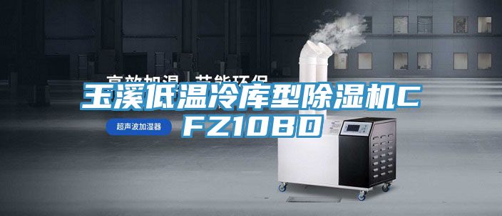 玉溪低溫冷庫型除濕機(jī)CFZ10BD