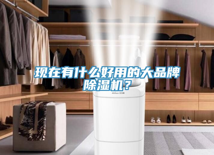 現(xiàn)在有什么好用的大品牌除濕機(jī)？