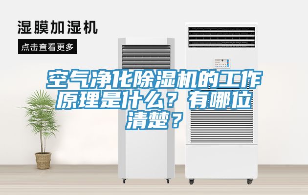 空氣凈化除濕機(jī)的工作原理是什么？有哪位清楚？