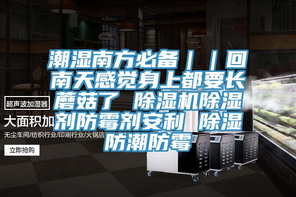 潮濕南方必備｜｜回南天感覺身上都要長蘑菇了 除濕機(jī)除濕劑防霉劑安利 除濕防潮防霉